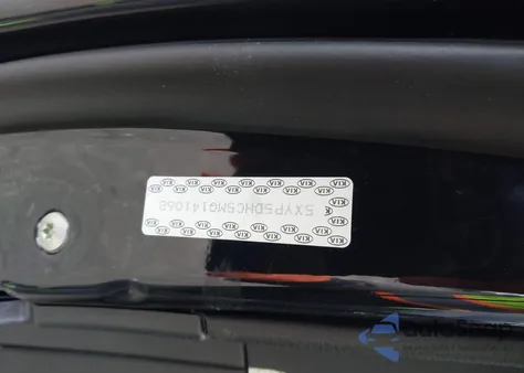 2021 Kia Telluride Sx z USA, uszkodzony, nr VIN 5XYP5DHC5MG141068